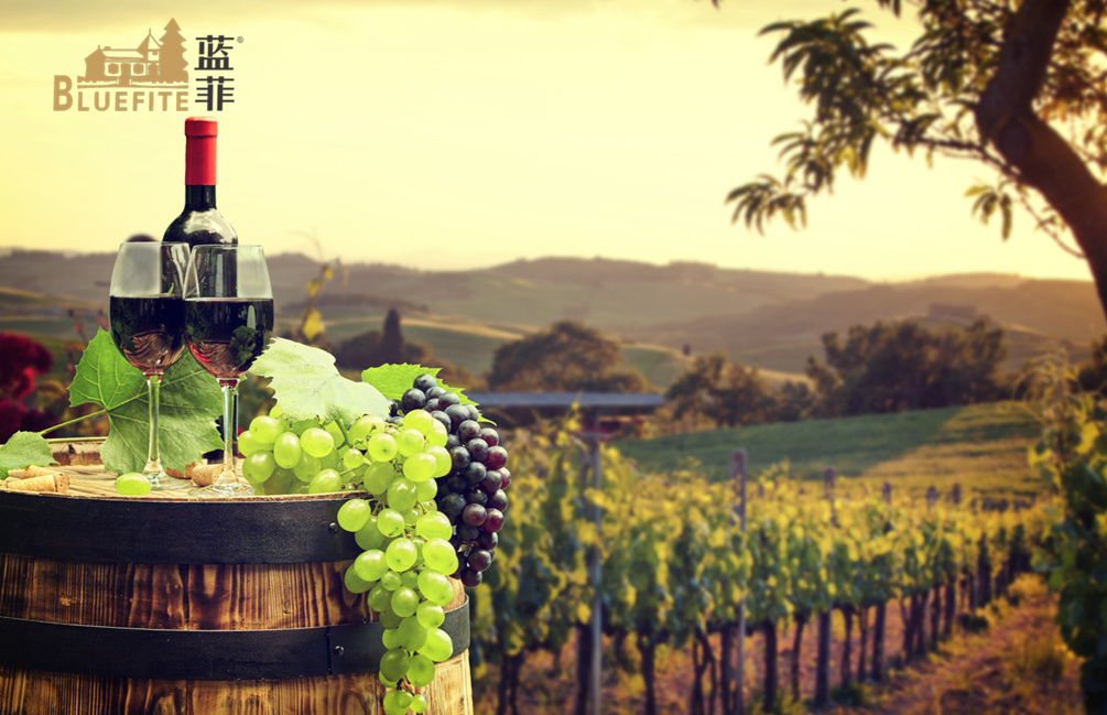 葡萄酒產業升級，提高葡萄酒安全質量是關鍵