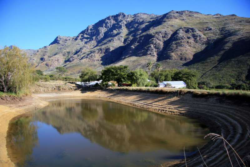 開普敦水荒，南非葡萄酒何去何從